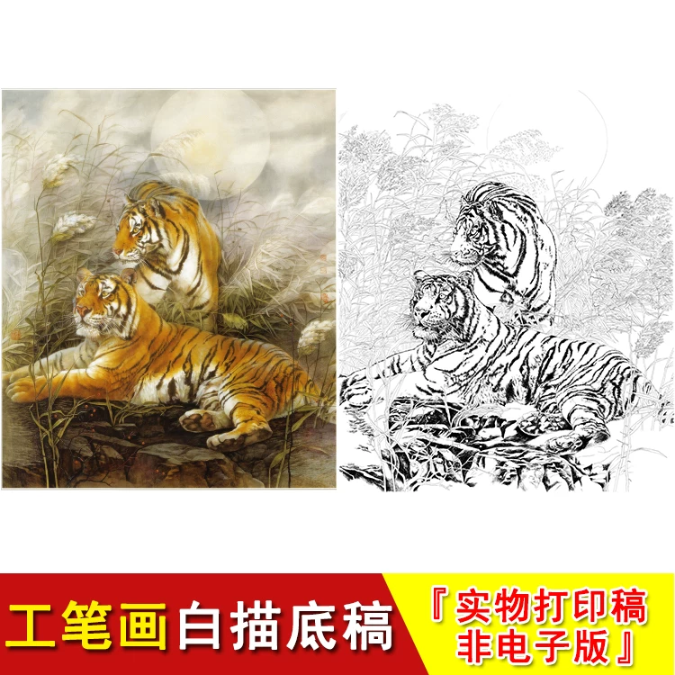 老虎工笔画白描底稿高清写意动物国画临摹素材大幅练习起稿LQ08
