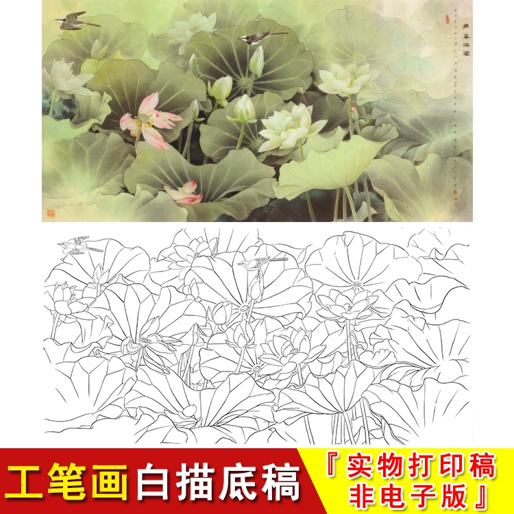 工笔画白描底稿-横幅花鸟-国画荷花-邹传安临摹素材非电子版A028