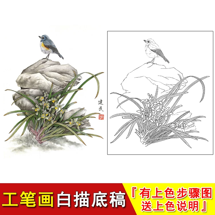 国画花卉兰花工笔画白描底稿线描稿临摹练习初学实物打印稿YB06