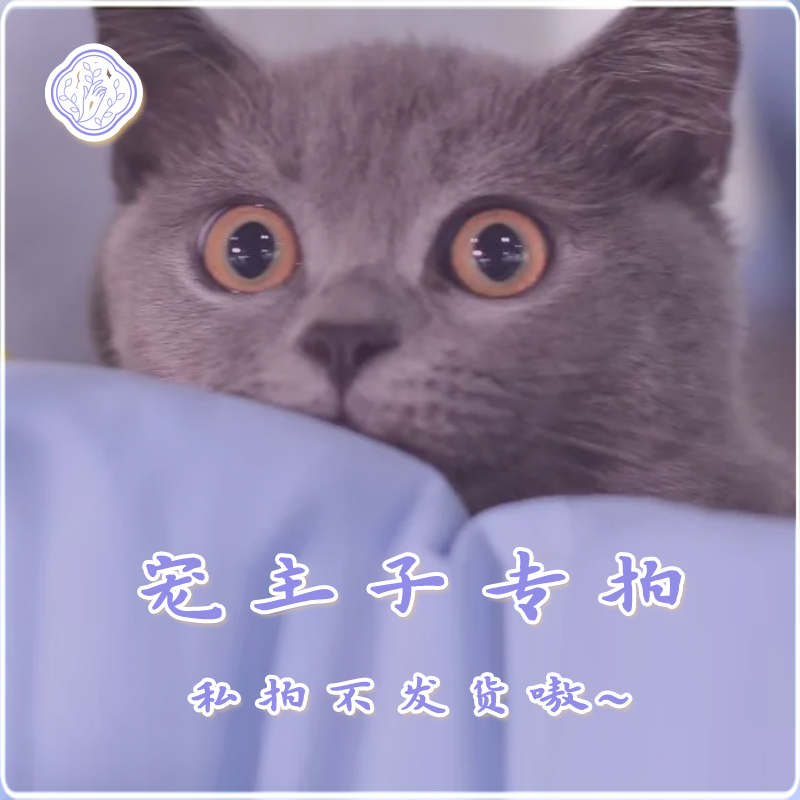 【希研制】宠粉礼包 请勿单拍