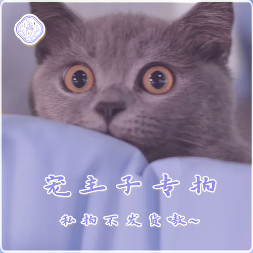 【希研制】宠粉礼包 请勿单拍 - 封面