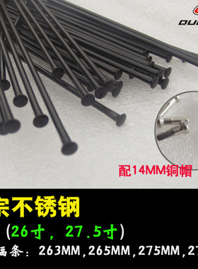 台湾信大山地车直拉弯头圆辐条匾条