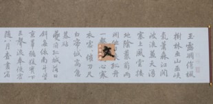 赵孟頫行书秋兴八首水写布 清水万次练字