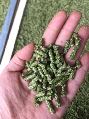 猫舍自用龙猫粮 配方放心营养足 安全可靠价格合理三斤包邮20一斤