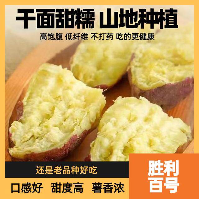 干面粉甜胜利百号老品种板栗红薯地瓜干面粉甜山坡地种植番薯
