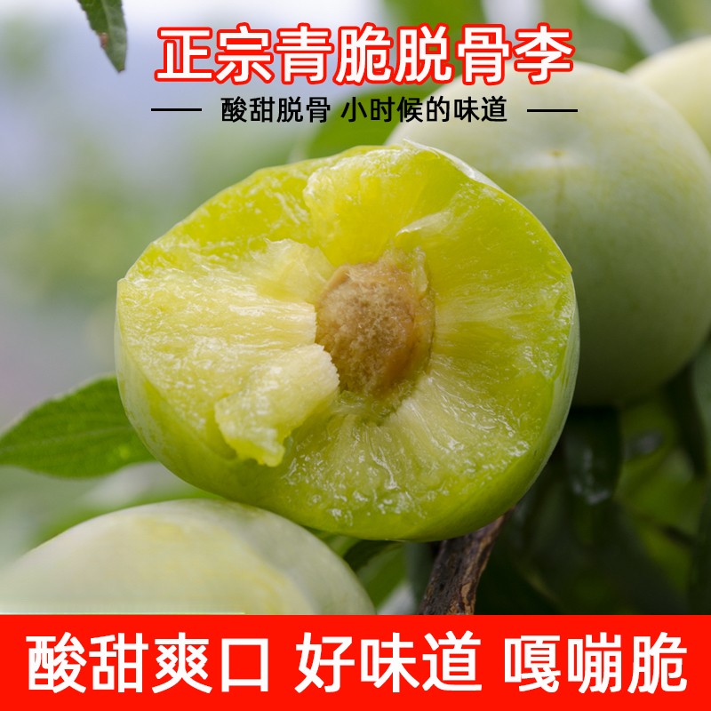 正宗贵州青脆李脱骨李新鲜现摘现发脆酸甜李子3/5斤整箱