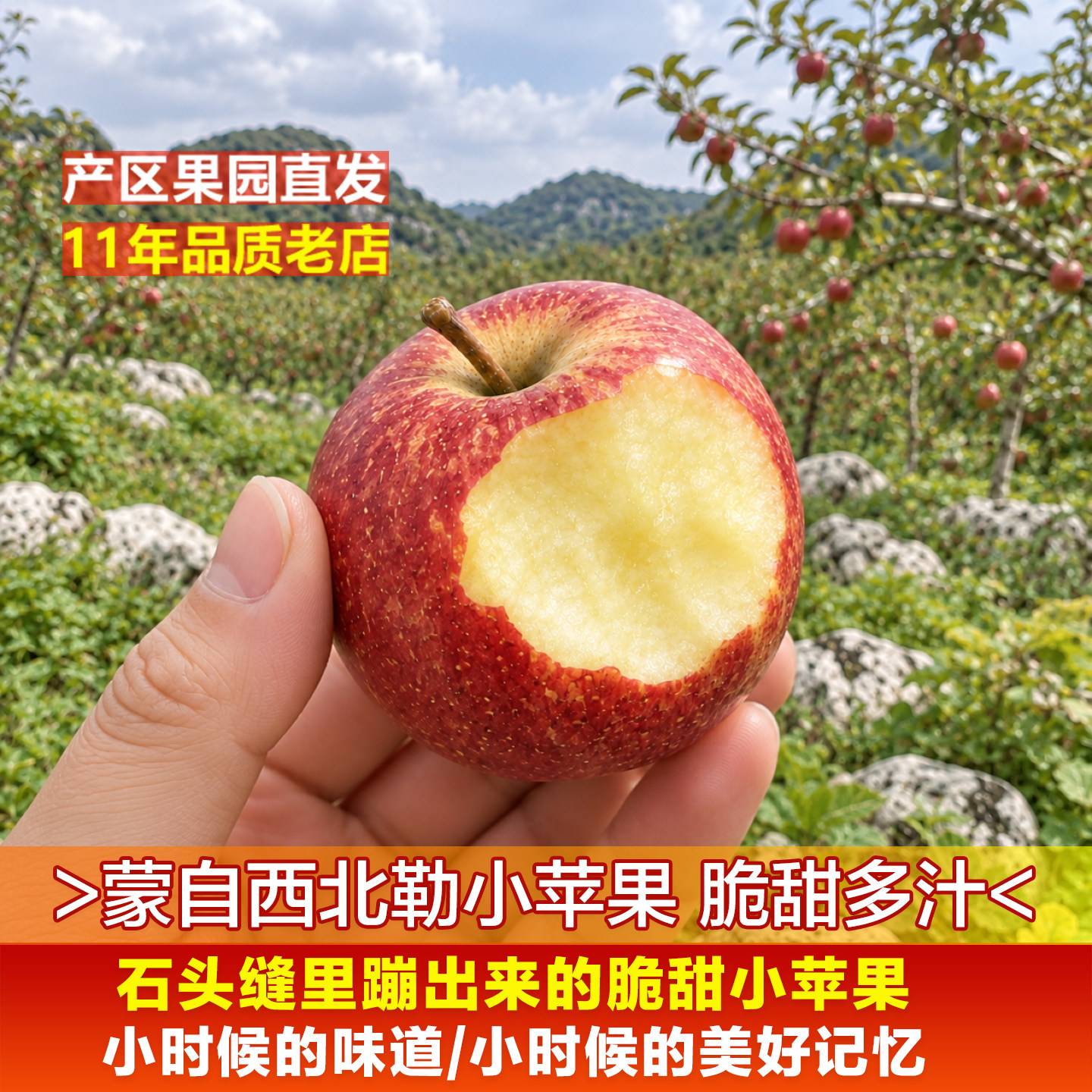 【稀缺小苹果】云南蒙自西北勒半野生脆甜冰糖心孕妇小孩新鲜水果