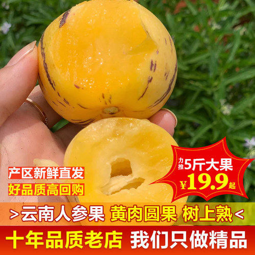 云南石林人参果熟果圆果新鲜水果