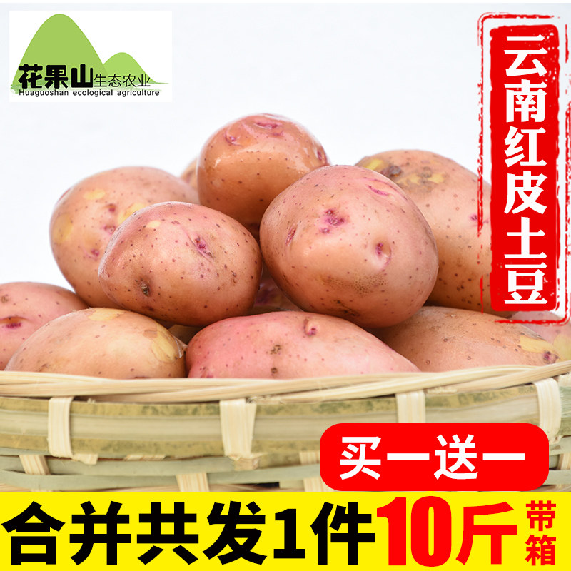 【买一送一】云南红皮小土豆新鲜蔬菜黄心5斤农家马铃薯洋芋地瓜|ruв категории водной мясо/свежие фрукты и овощи/еда, свежие овощи/овощной продукции, свежие овощи, картофель - от Buy2taobao.com для оказания профессиональной услуги покупки агента Taobao