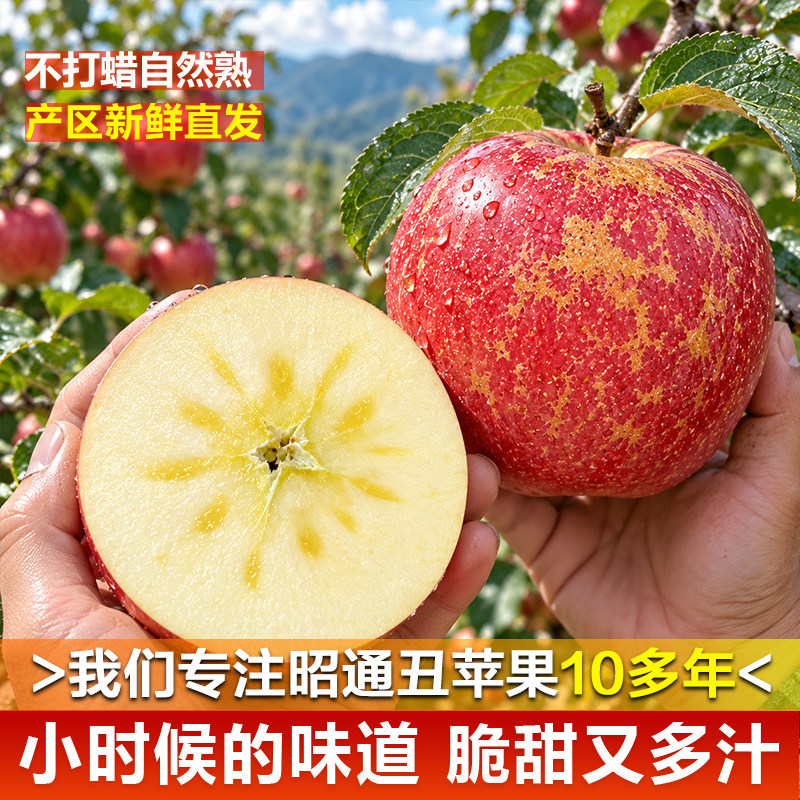 专注昭通苹果好品质10多年的老店