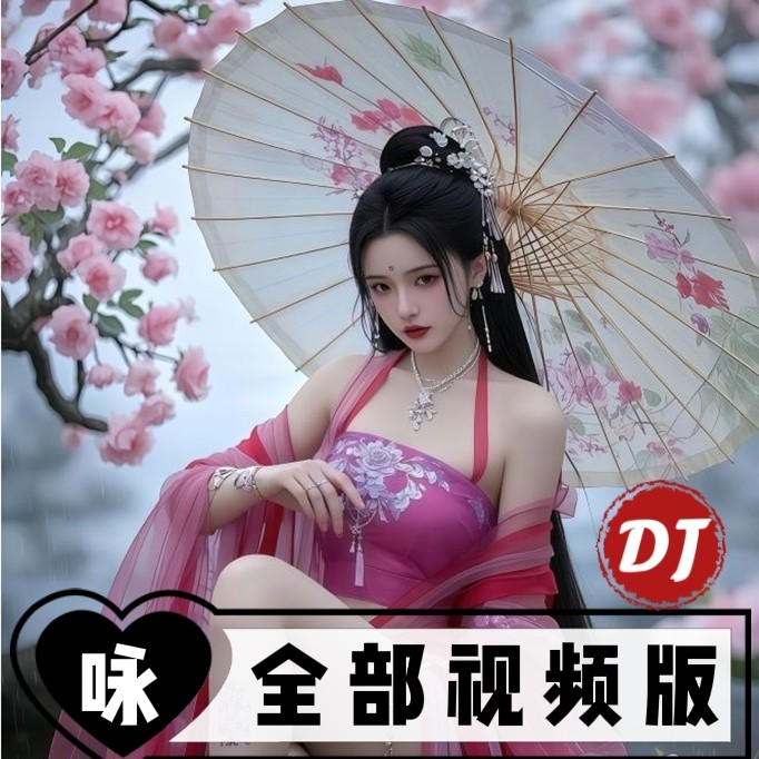 汽车载u盘柏林之声音频无损歌曲高清高音质dj全视频mp3/4优盘