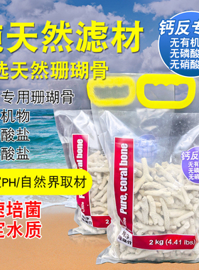 蓝色珍品天然纯净珊瑚骨海水鱼缸过滤材料珊瑚缸钙反材底砂珊瑚沙