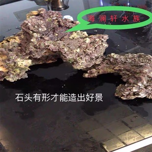 活石珊瑚石死石远海高钙活石头海水缸造景免爆藻造景胶海水鱼海藻