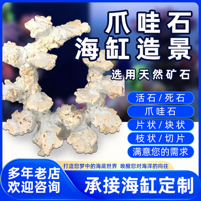小海缸死石造景爪哇石干岩石免爆藻快速开缸淡海水珊瑚缸造景定制