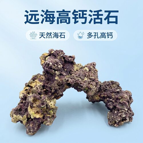 活石珊瑚石死石远海免爆藻海水鱼