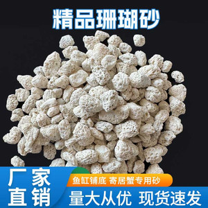 优质珊瑚沙鱼缸菲律宾沙贝壳沙海缸造景三湖慈鲷寄居蟹小丑鱼底沙