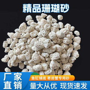 优质珊瑚沙鱼缸菲律宾沙贝壳沙海缸造景三湖慈鲷寄居蟹小丑鱼底沙