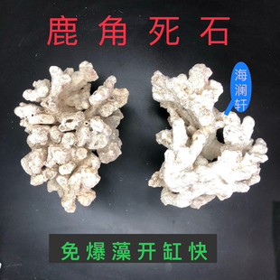 死石海水缸造景石天然鹿角珊瑚石生物石水族箱造景假山布景三湖缸