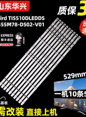 鲁至适用Baird TI5510DLEDDS灯条DS55M78-DS02-V01液晶电视灯条