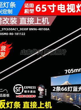 鲁至适用三星QN65Q60RAF灯条V9Q6-650SM0-R0-181122 BN96-48108A