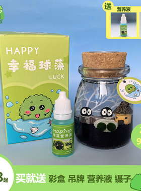 marimo幸福海藻球水培植物微景观生态瓶球藻微生物瓶迷你绿植盆栽