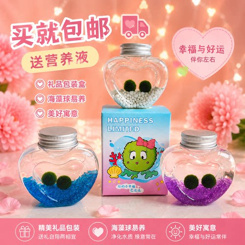 海藻球桌面萌宠水培治愈小植物