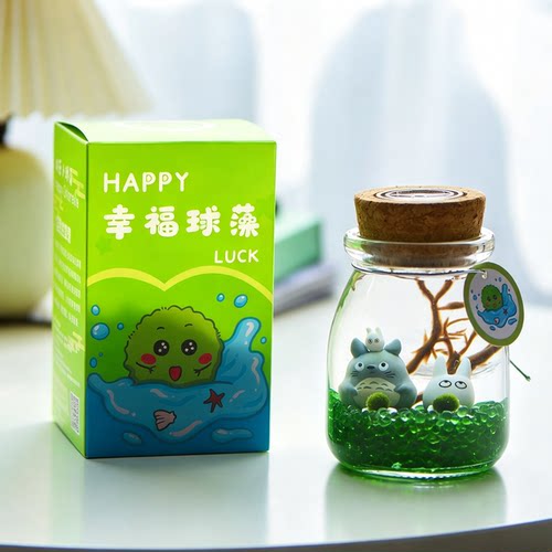 marimo微生物迷你绿植幸福海藻球