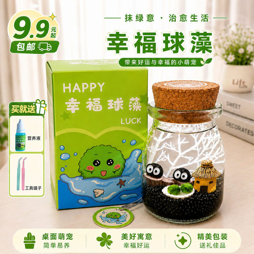 marimo微生物迷你绿植幸福海藻球