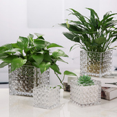 简约加厚正方形缸大号花瓶玻璃透明桌面摆件水培花器水养植物花盆