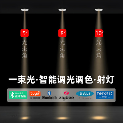 百戏照明一束光射灯防眩护眼博物馆局部照明已接入米家涂鸦zigbee