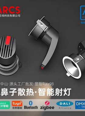 高端嵌入式射灯涂鸦zigbee调光调色DALI变光0-10V智能灯具DMX512