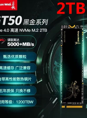 Great Wall/长城GT50全新2T高速5000M NVME固态PCI-E4.0硬盘M2