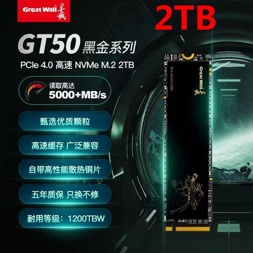 Great Wall/长城GT50全新2T高速5000M NVME固态PCI-E4.0硬盘M2