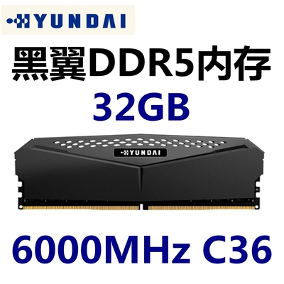 现代DDR532G6000MHz台式机内存