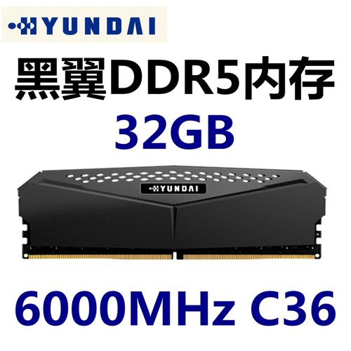 现代DDR532G6000MHz台式机内存