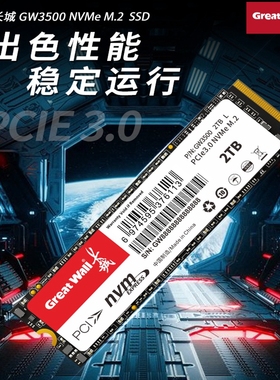 Great Wall/长城GW3500全新256G512G1T高速NVME固态PCI-E3.0硬盘