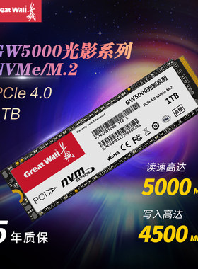 Great Wall/长城GW5000全新1T2T高速NVME固态PCI-E4.0硬盘M2