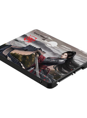 Great Wall/长城GW580GW560全新512G1T 2T固态硬盘2.5寸SSD硬盘