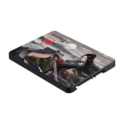 Great Wall/长城GW580GW560全新512G1T 2T固态硬盘2.5寸SSD硬盘