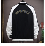 春.秋新款队棒球服刺绣加棉网红潮牌夹克男女飞行员外套JK221-P37，男装夹克，星座1018