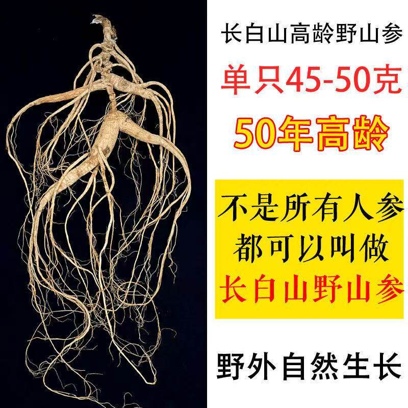长白山野山参 50年左右 超大支东北林下参人参 优质山参 高端礼品