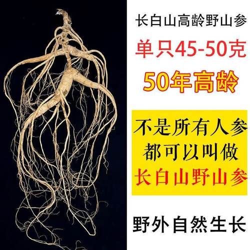 野山参林下参干参移山参