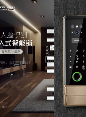TELI特力M9嵌入式智能锁 可视指纹锁 内嵌式智能门锁