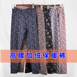 中老年女士高腰加绒保暖裤 妈妈秋裤 秋冬内穿衬裤 摇粒绒打底裤