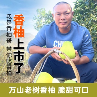 万山香柚冰糖柚柚子甜柚高山小苦柚脆甜多汁当季新鲜水果非安江柚