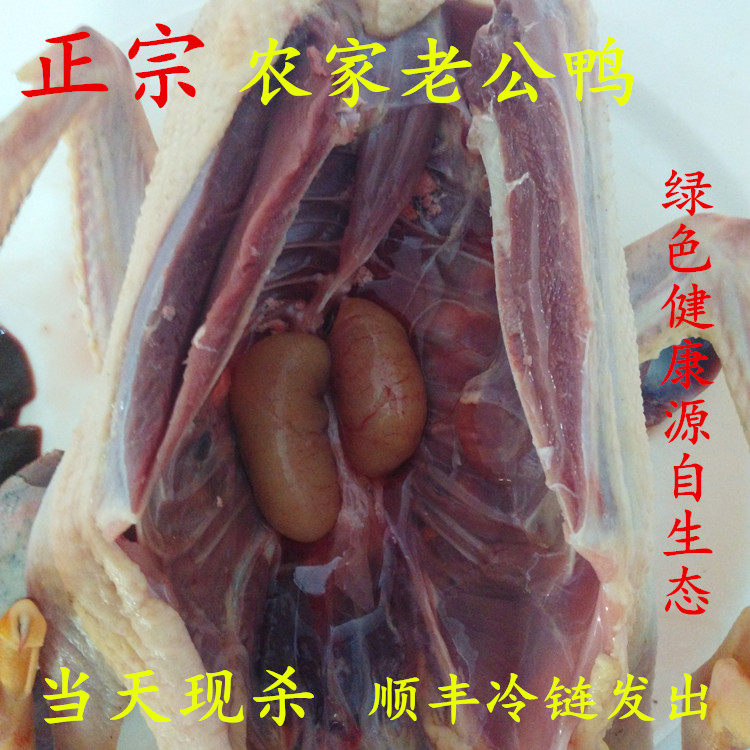 土公鸭老鸭农家散养土鸭3年老鸭子土鸭麻鸭水鸭现杀活鸭老鸭汤