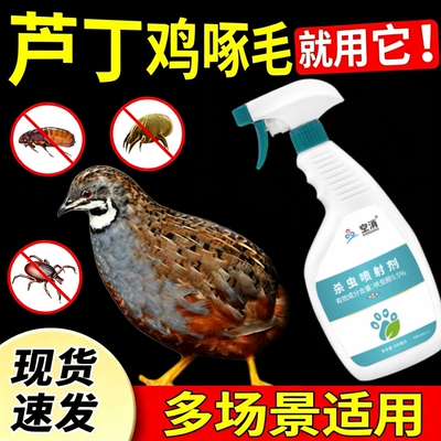芦丁鸡驱虫喷雾防脱毛啄毛鸡用净驱虱子螨虫鹦鹉清洁除臭鸟类用品