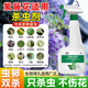 紫藤花除虫花卉杀虫剂红蜘蛛杀虫剂花卉植物通用绿植土壤蚜虫喷剂