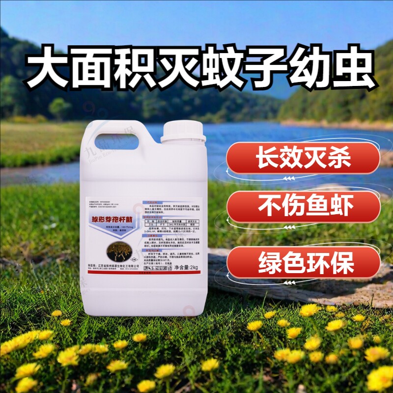 空消球形芽孢杆菌灭蚊幼杀红线虫蚊幼孑孓蝇蛆杀幼蚊卵蚊子滋生地