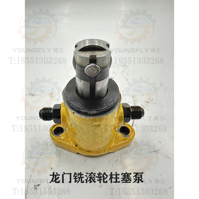 龙门铣床滚轮柱塞泵润滑泵